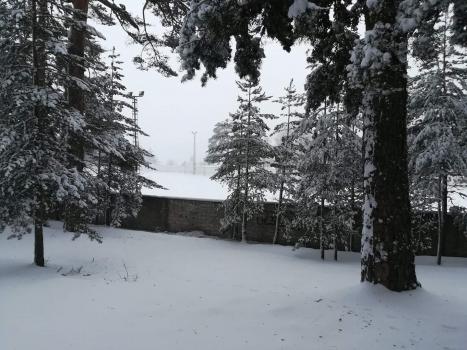 Imagen principal noticia 